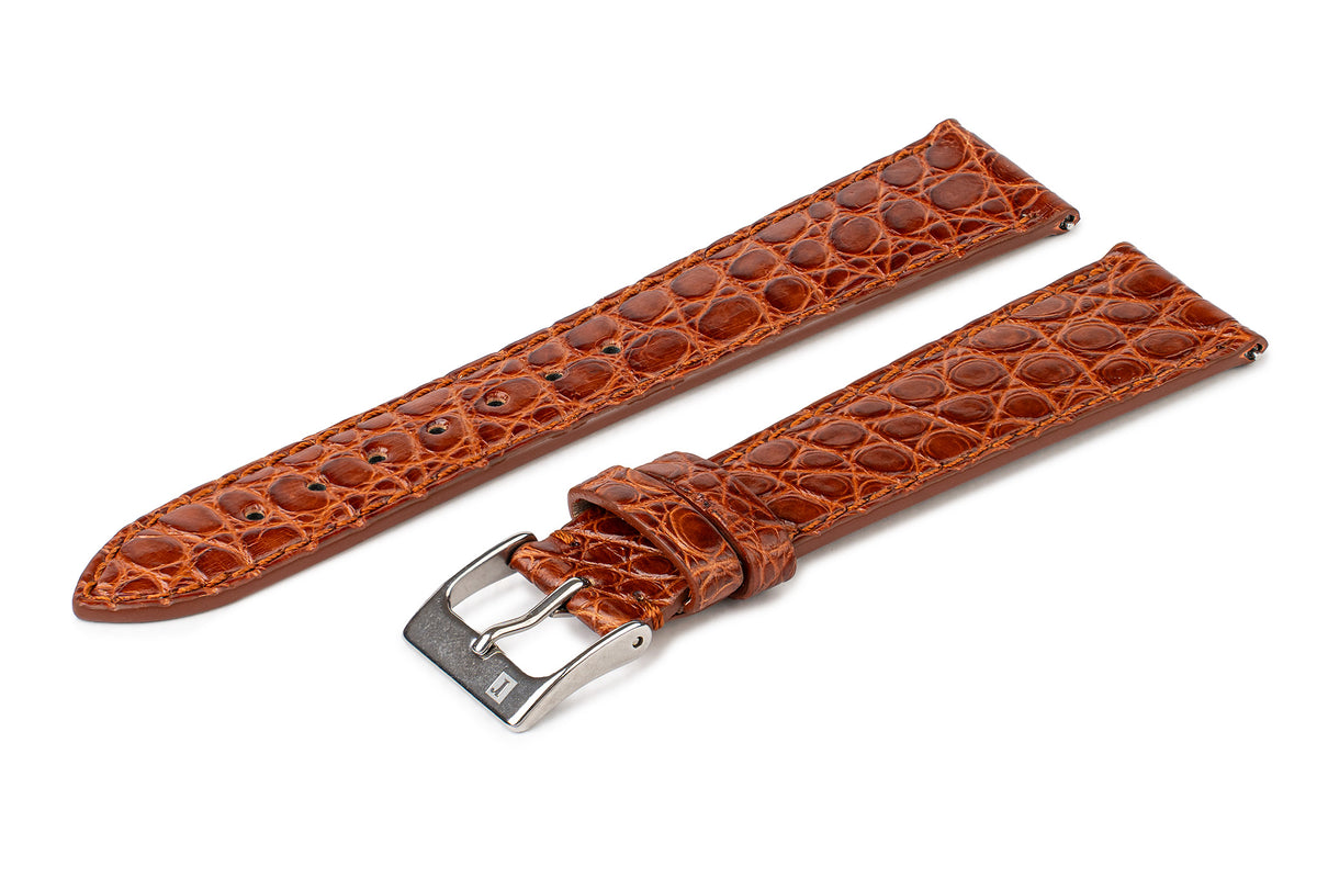 Colareb_Alligatore_Brown_Coper